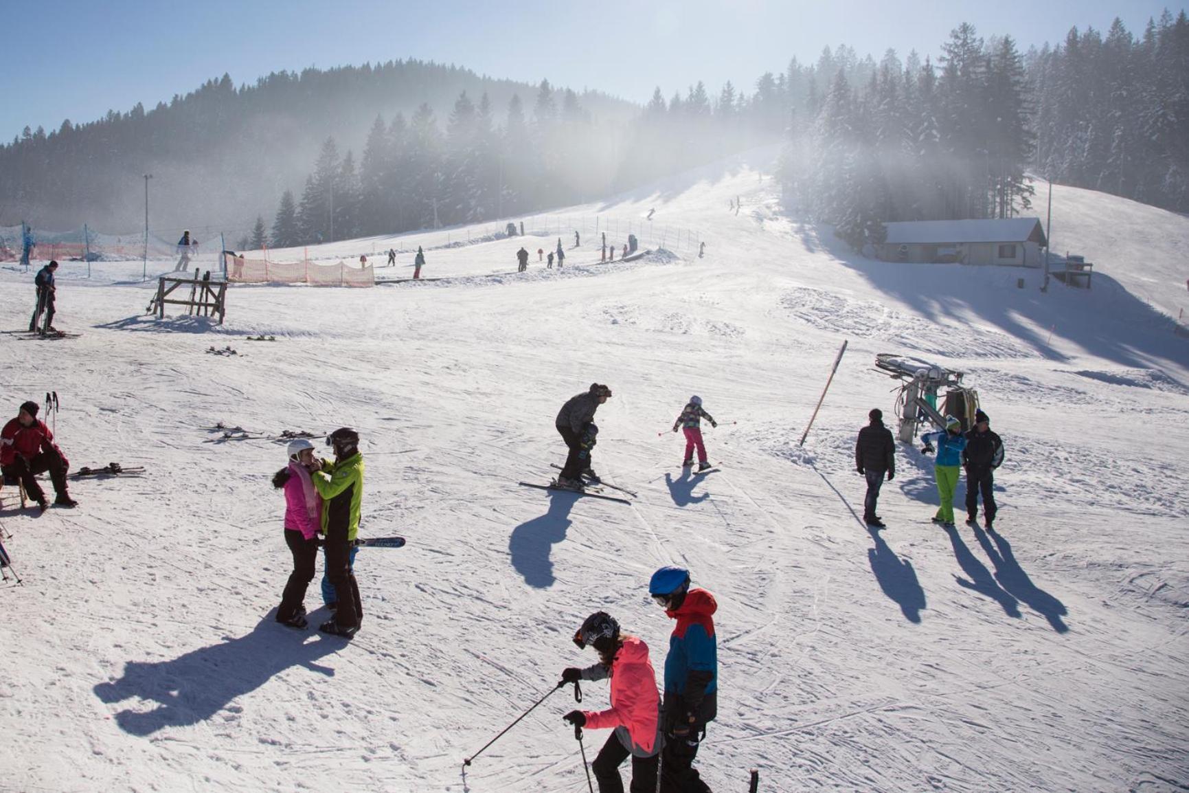 Lake Peak Apartments, Ribnisko Pohorje Ribnica na Pohorju Esterno foto